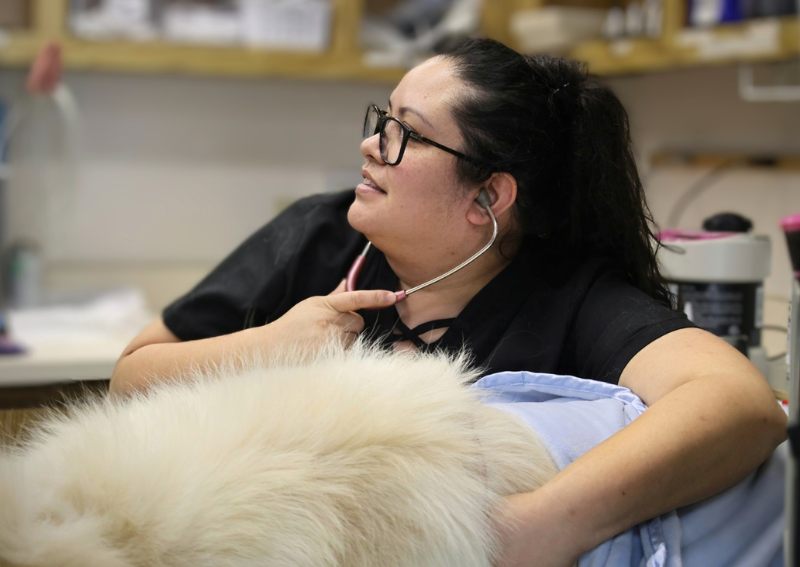 Carousel Slide 5: Pet Exam