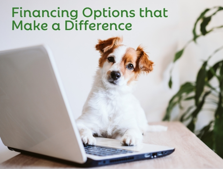 Pet Care Financing Options Available